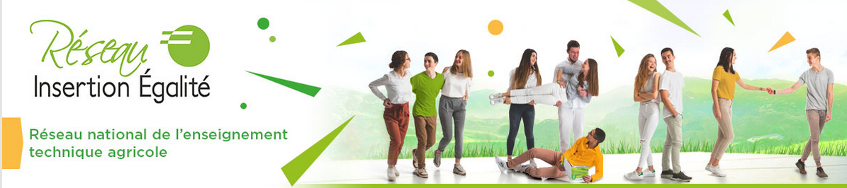 Bandeau réseau insertion égalité : titre et photo de jeunes